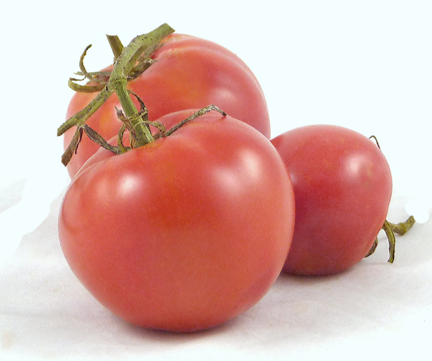 Louisiana Gulf State - Image 4