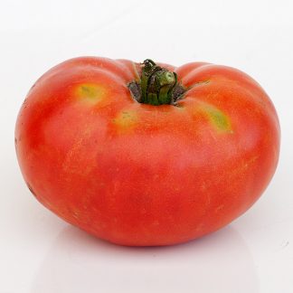 Sweet Scarlet Dwarf