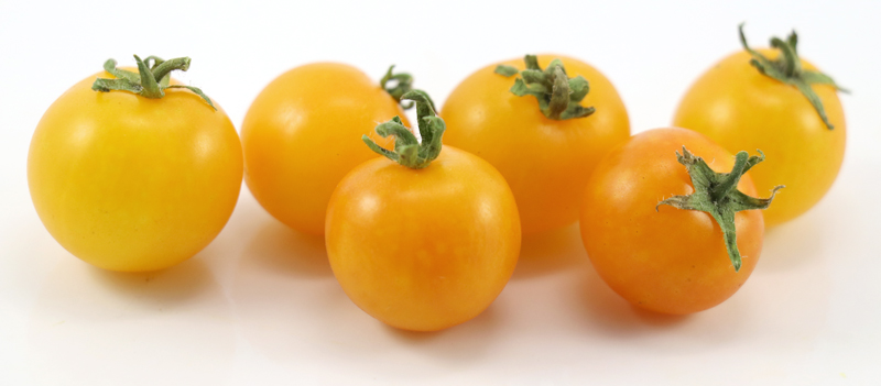 Gold Pearl - Image 4