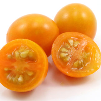 Sungold Select II