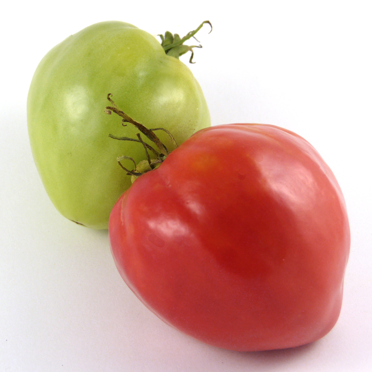 Bread and Salt (Khlebosolnye) - Image 2