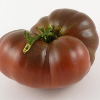 Negrillo de Almoguera