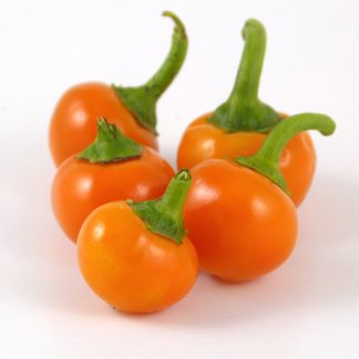 Sarga Cseresznye (Yellow Cherry)