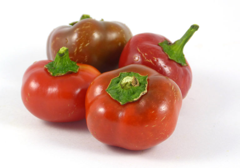 Urfa Cherry Pepper (Sanliurfa kiraz biber) Heritage Seed Market