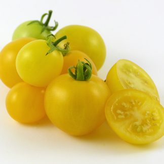 Yellow Dwarf