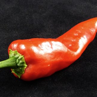 Mira Sol (Pueblo Chile)