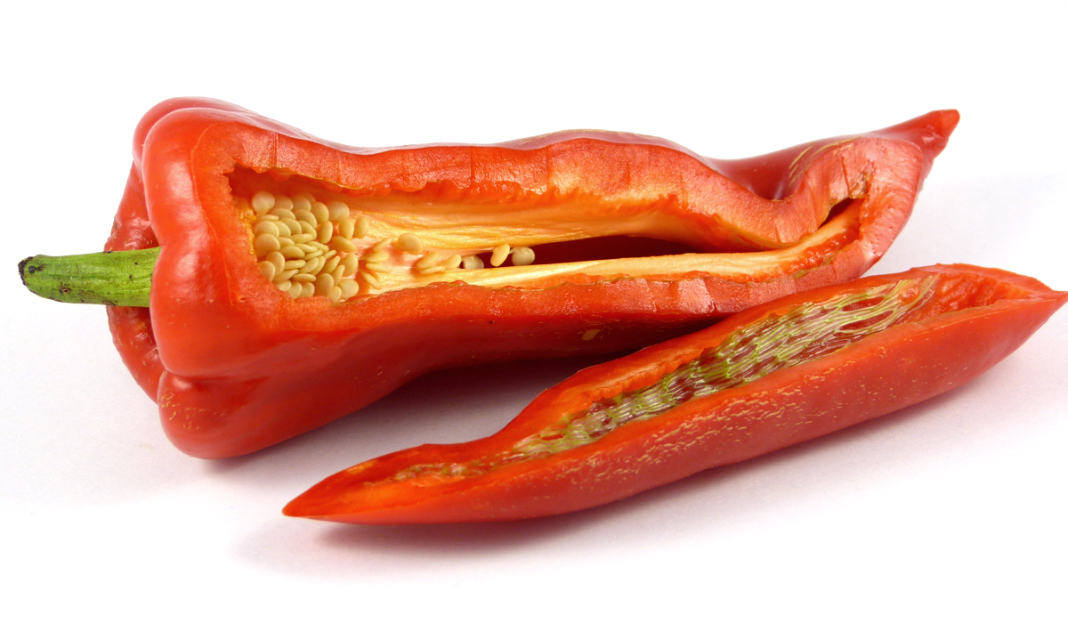 Elephant's Ear (Slonovo Uvo) - Image 2