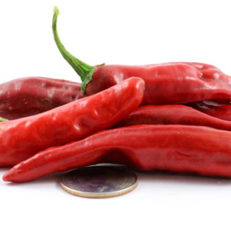 Costeno Rojo
