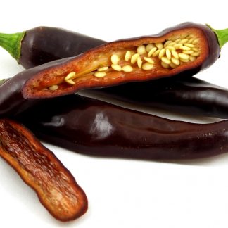 Ethiopian Brown Berbere