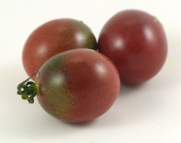 Black Hole Sun - Image 2