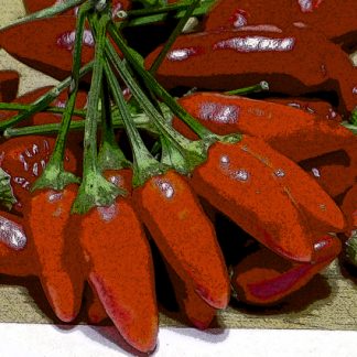 Tabasco