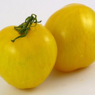 Butter Apple