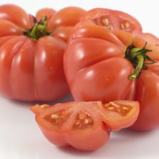 Kamatis Tagalog