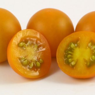 Sweet Orange II
