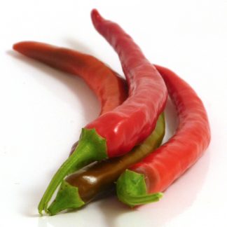 Lombok (Chile Lombak)