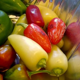 Santa Fe Grande (Guero Chile)