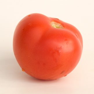 Dwarf Sarah's Red