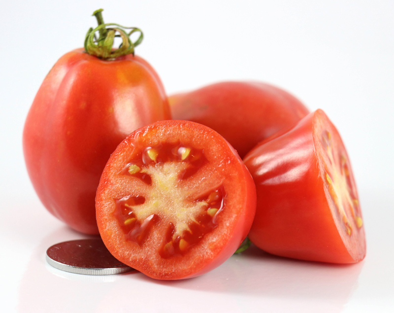 Bella Bimba - Image 2