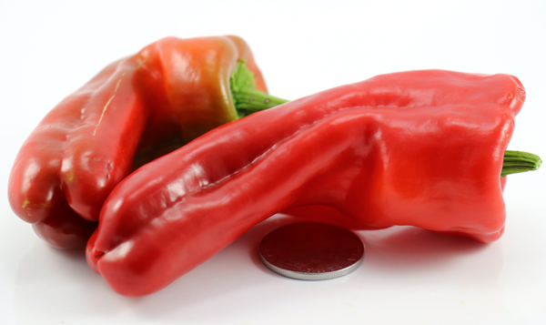 Trontarolo - Image 2