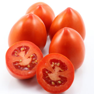 Nueva Vizcaya Nipple Tomato