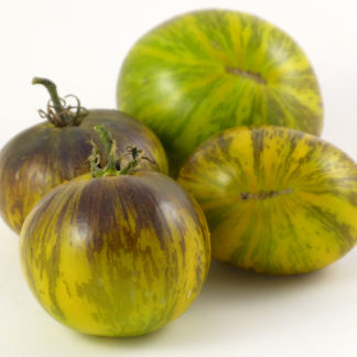Xanadu Green Goddess