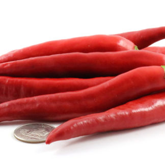 Inokra Panigang