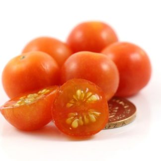 Peacevine Cherry