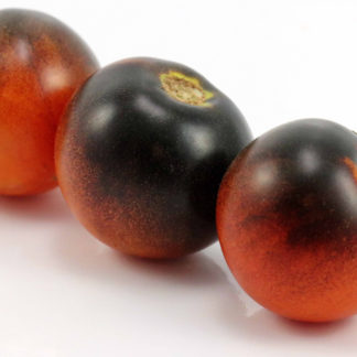 Tartufo