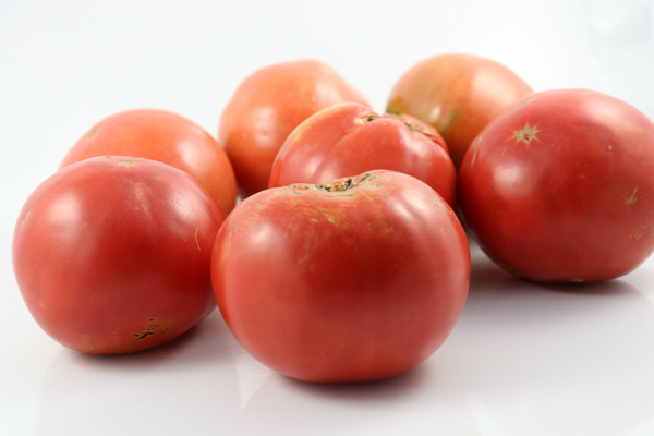 San Antonio Rose - Image 2