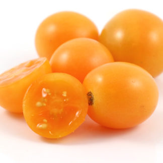 Honeydrop Cherry