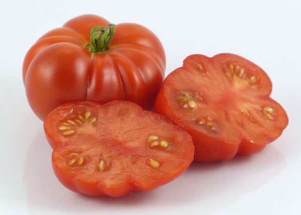 Gajilete de Puerto Rico - Image 2