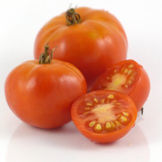 Tanggula