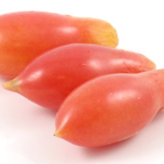 Elf Tears, Pink