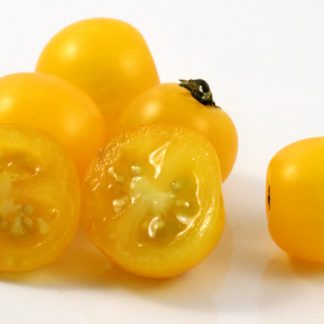 Rejina Yellow