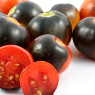 Blue Room Tomato (Blaue Zimmertomate)