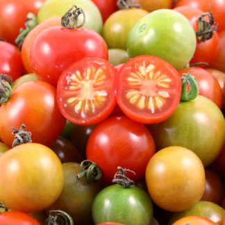 Tomatito de Jalapa